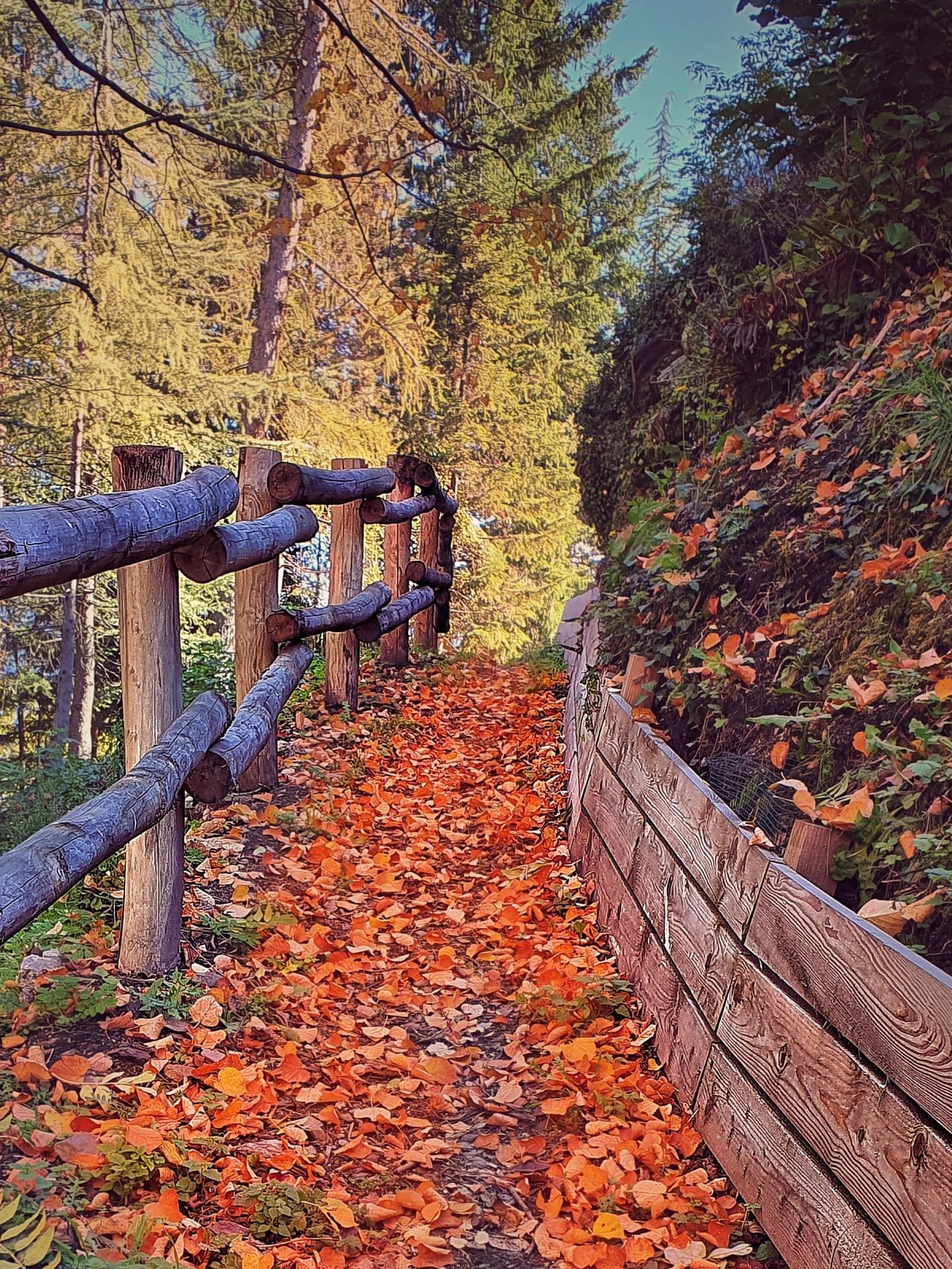 Colori caldi dell'autunno italiano