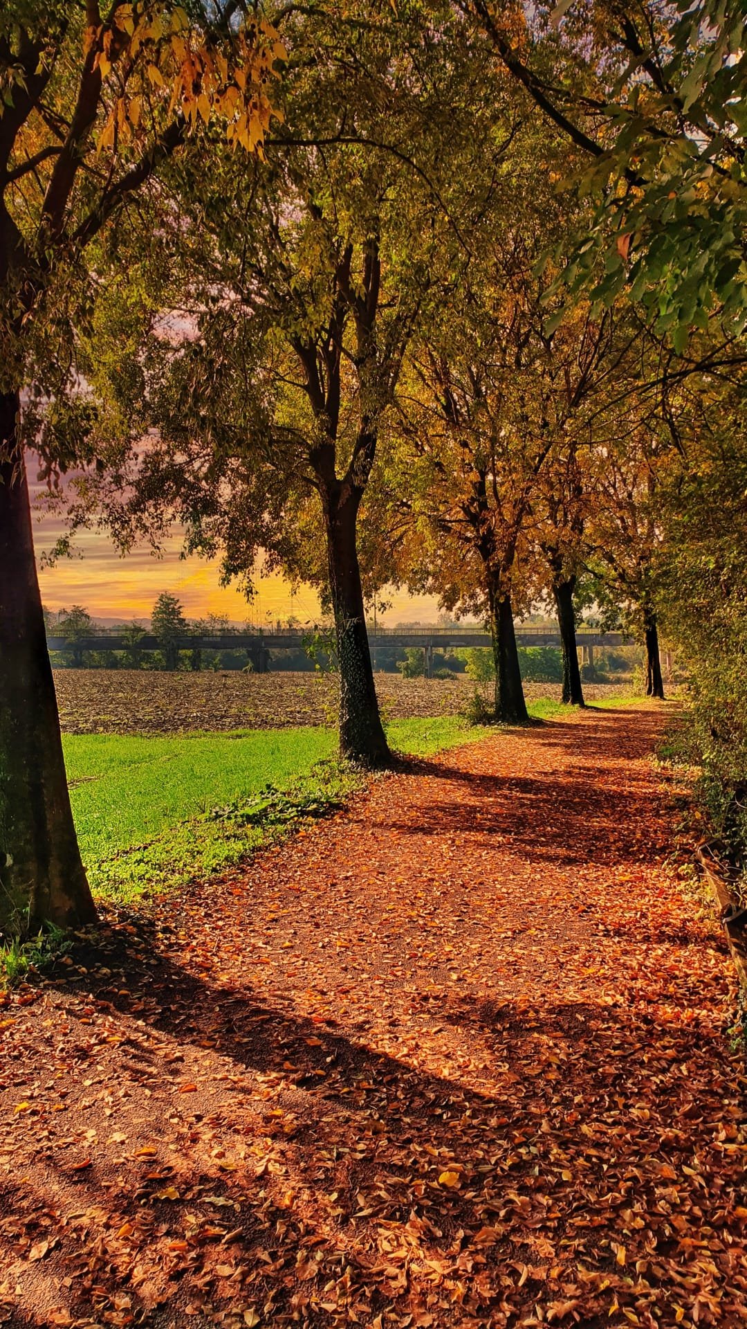 Sentiero autunnale in Italia