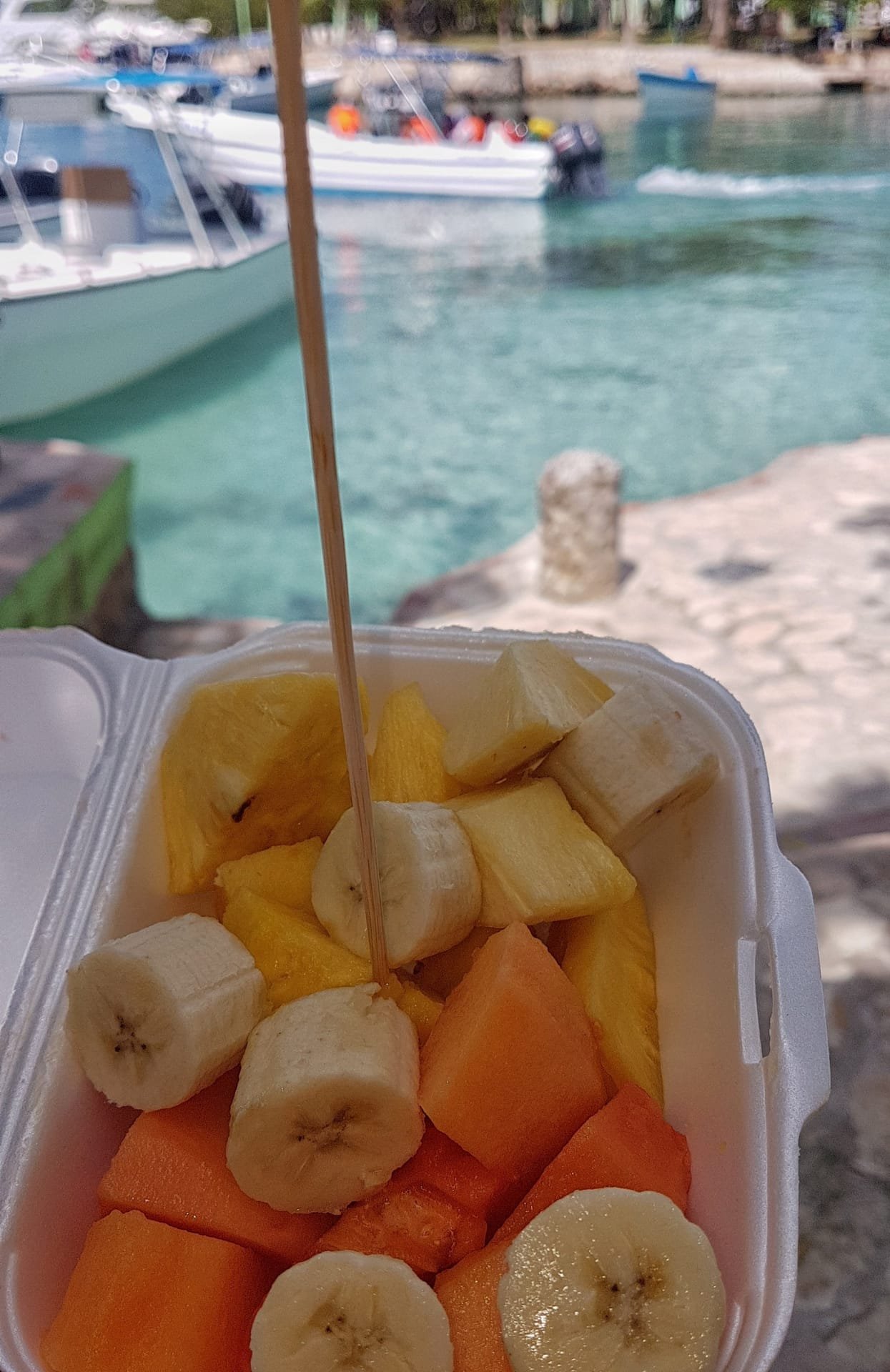 Mango e ananas freschi a Bayahibe