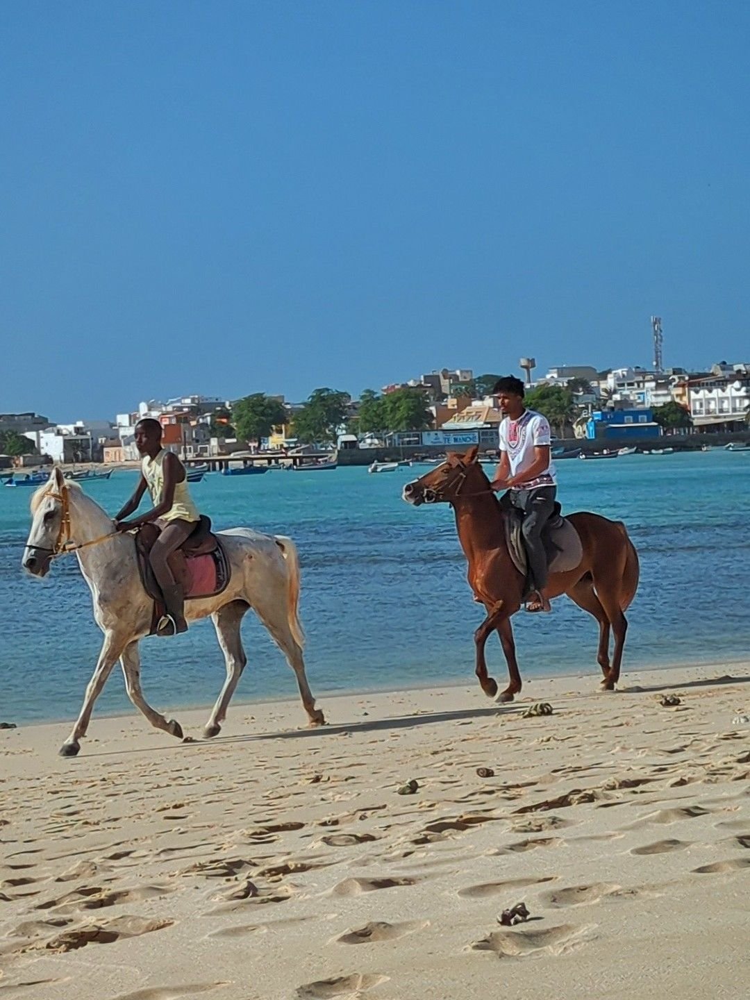 Passeggia a cavallo