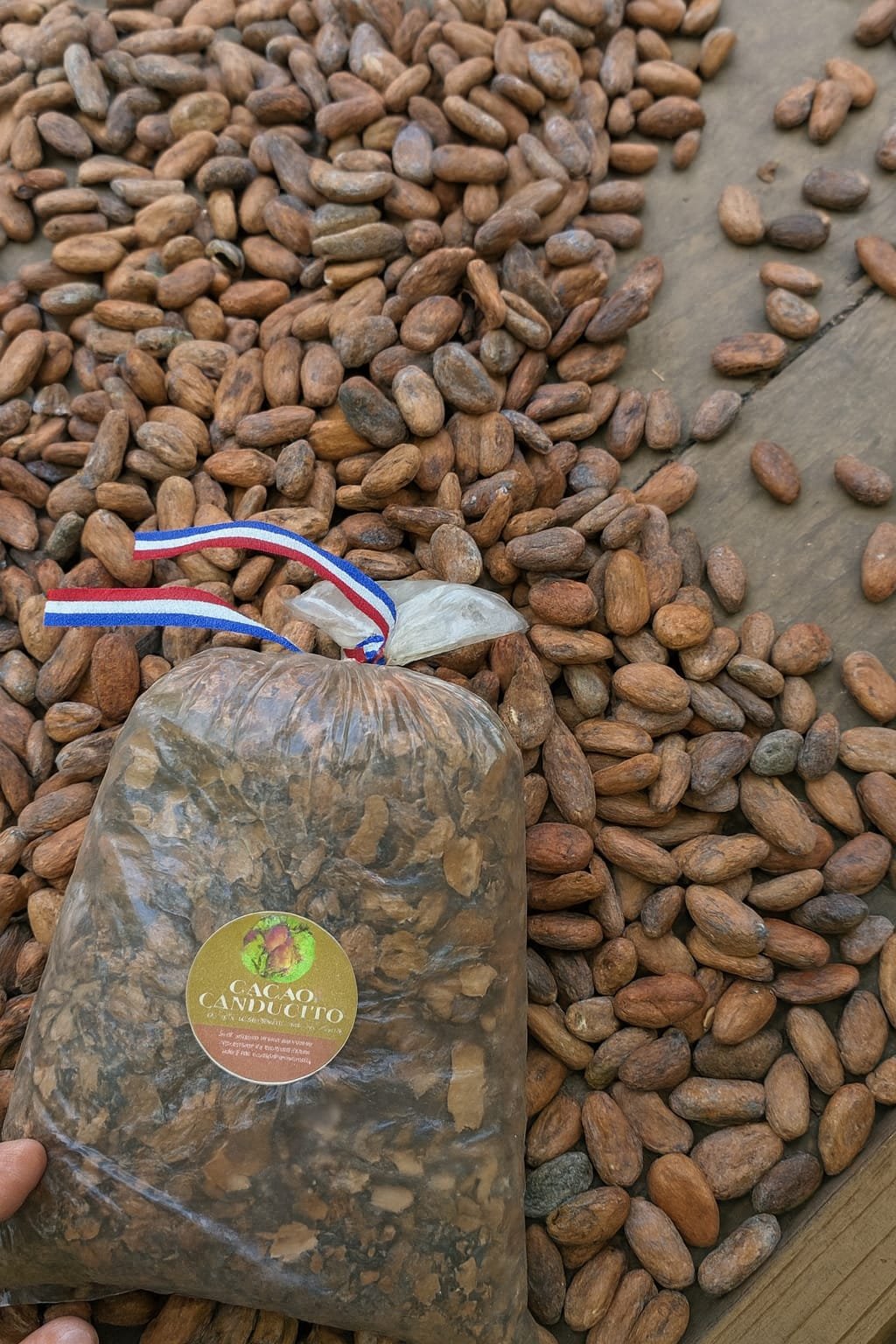 La pasta di cacao pura