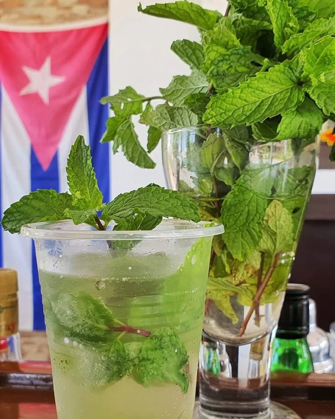 Cuba day by day 2023/24