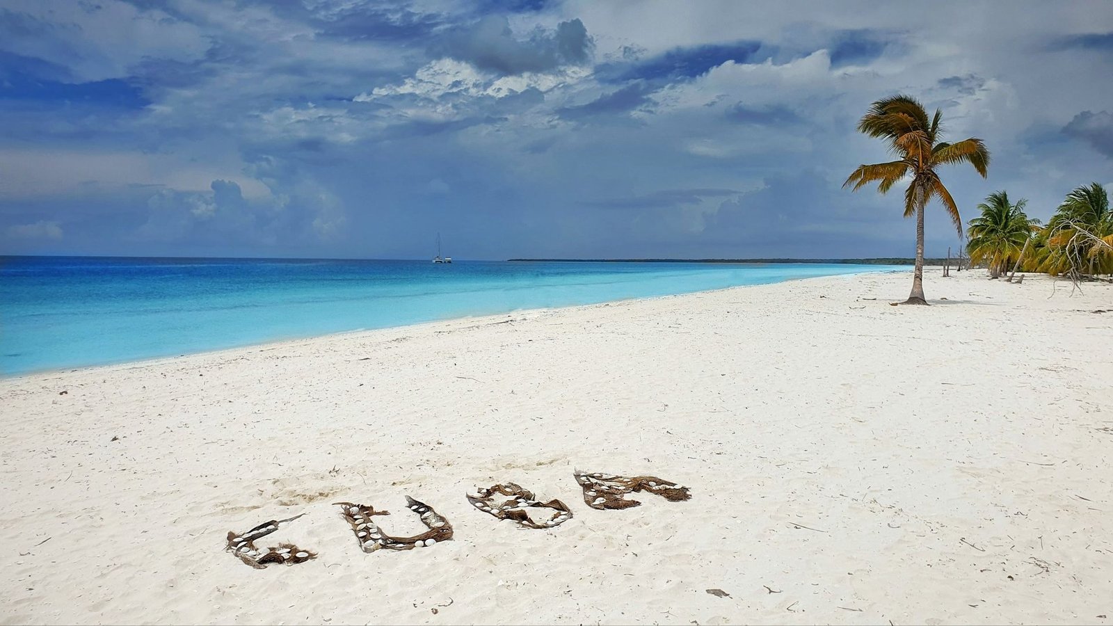 Cuba day by day 2023/24