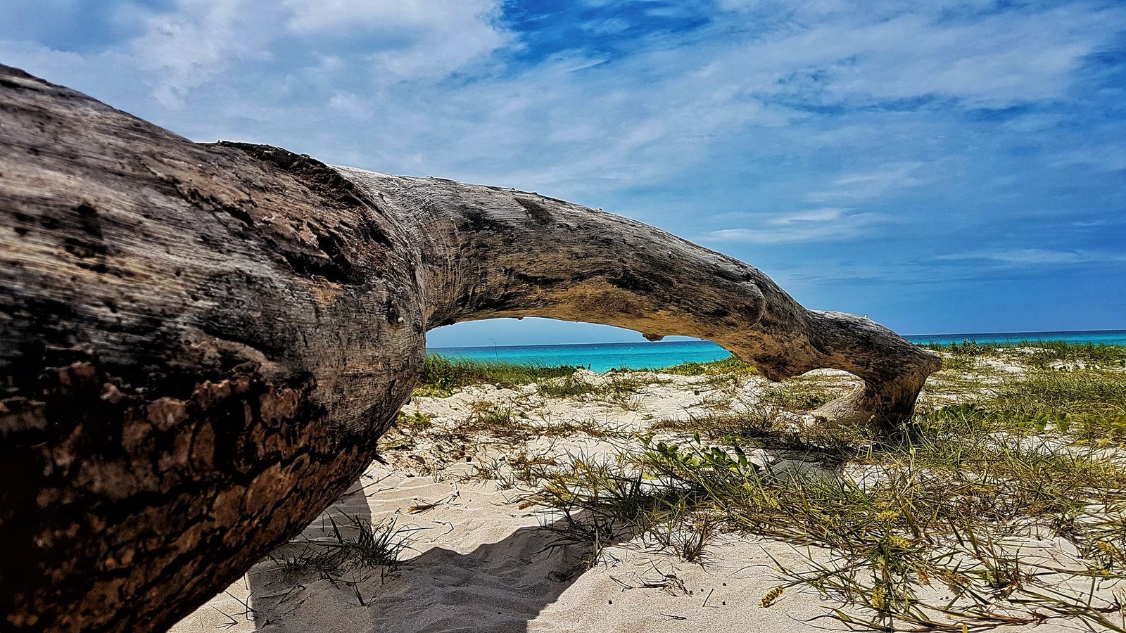 Cuba: un viaggio tra sogni, suoni e sensazioni