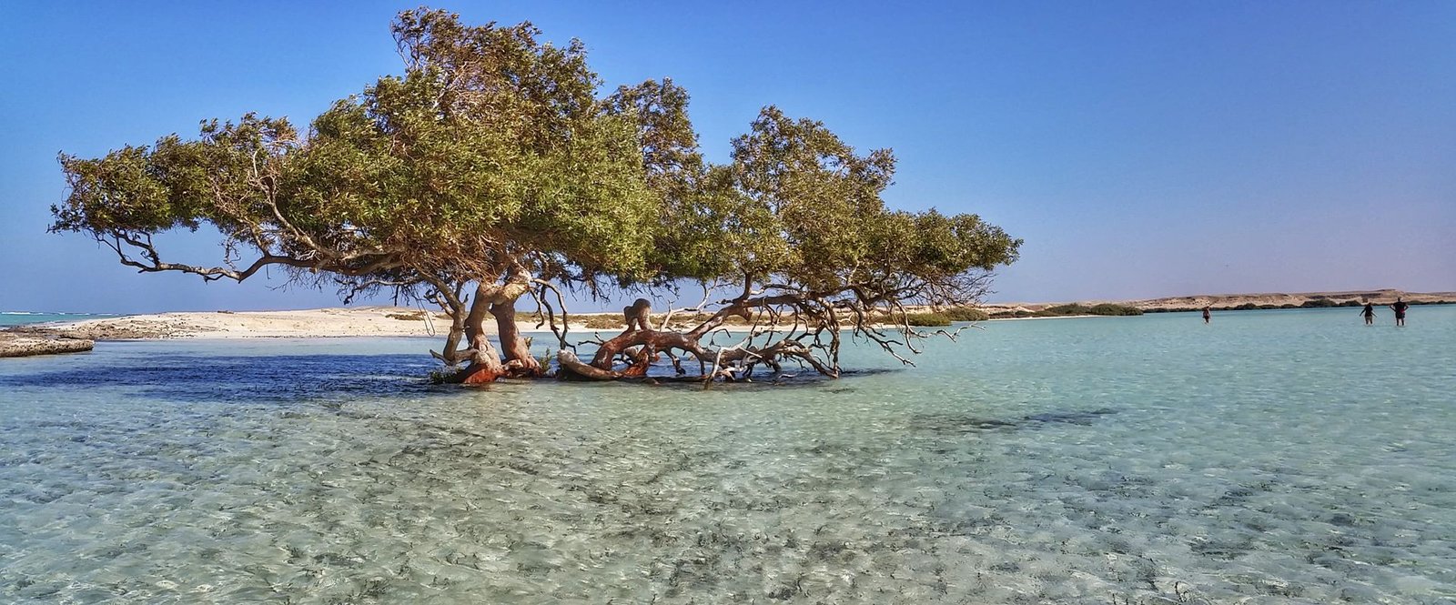 Spiaggia e mare cristallino vicino a Marsa Alam