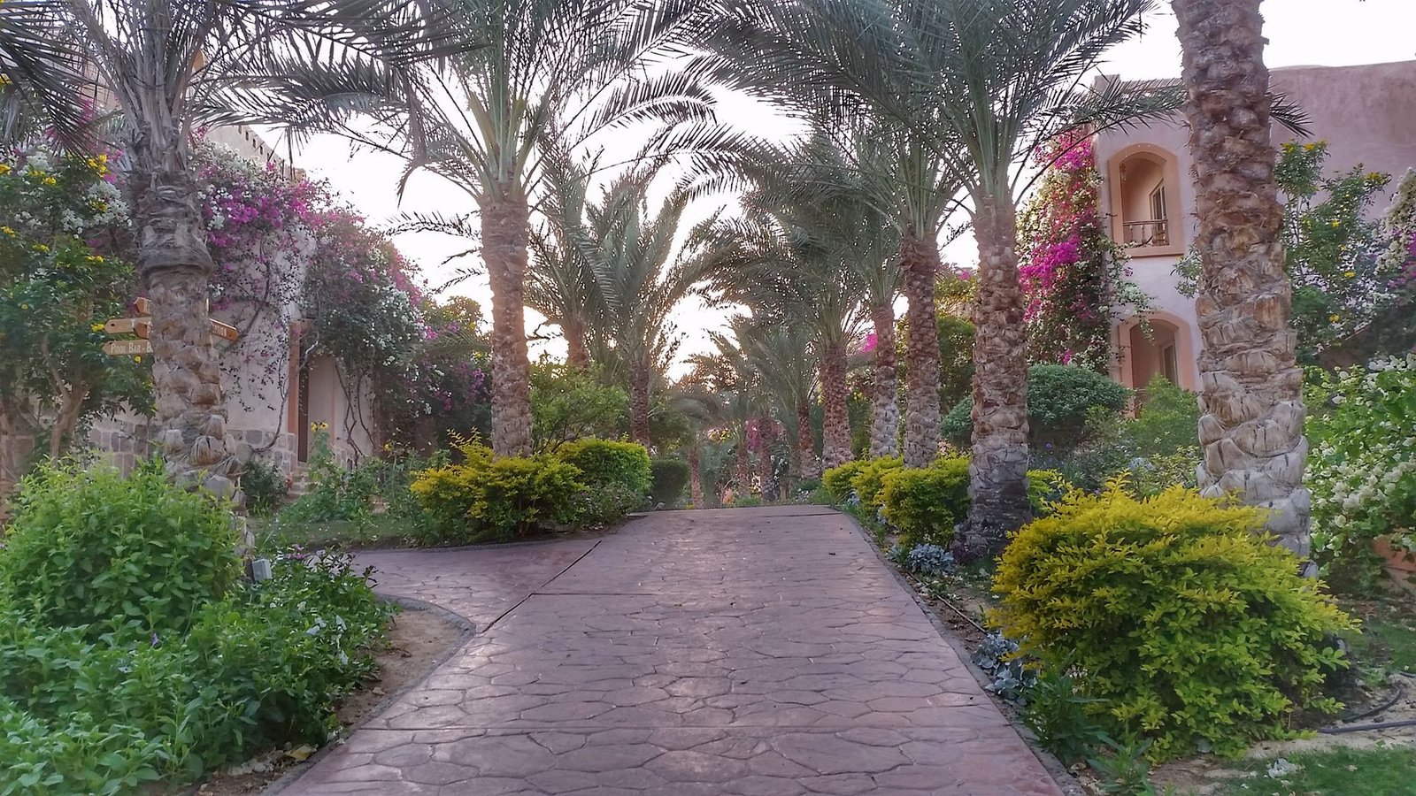 Paesaggio costiero vicino a Marsa Alam