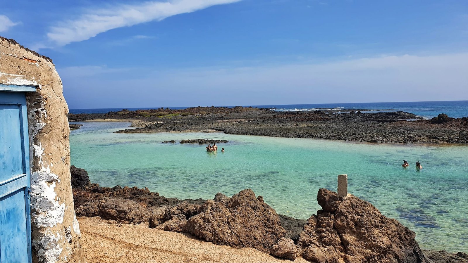 La fauna selvatica di Isla de Lobos