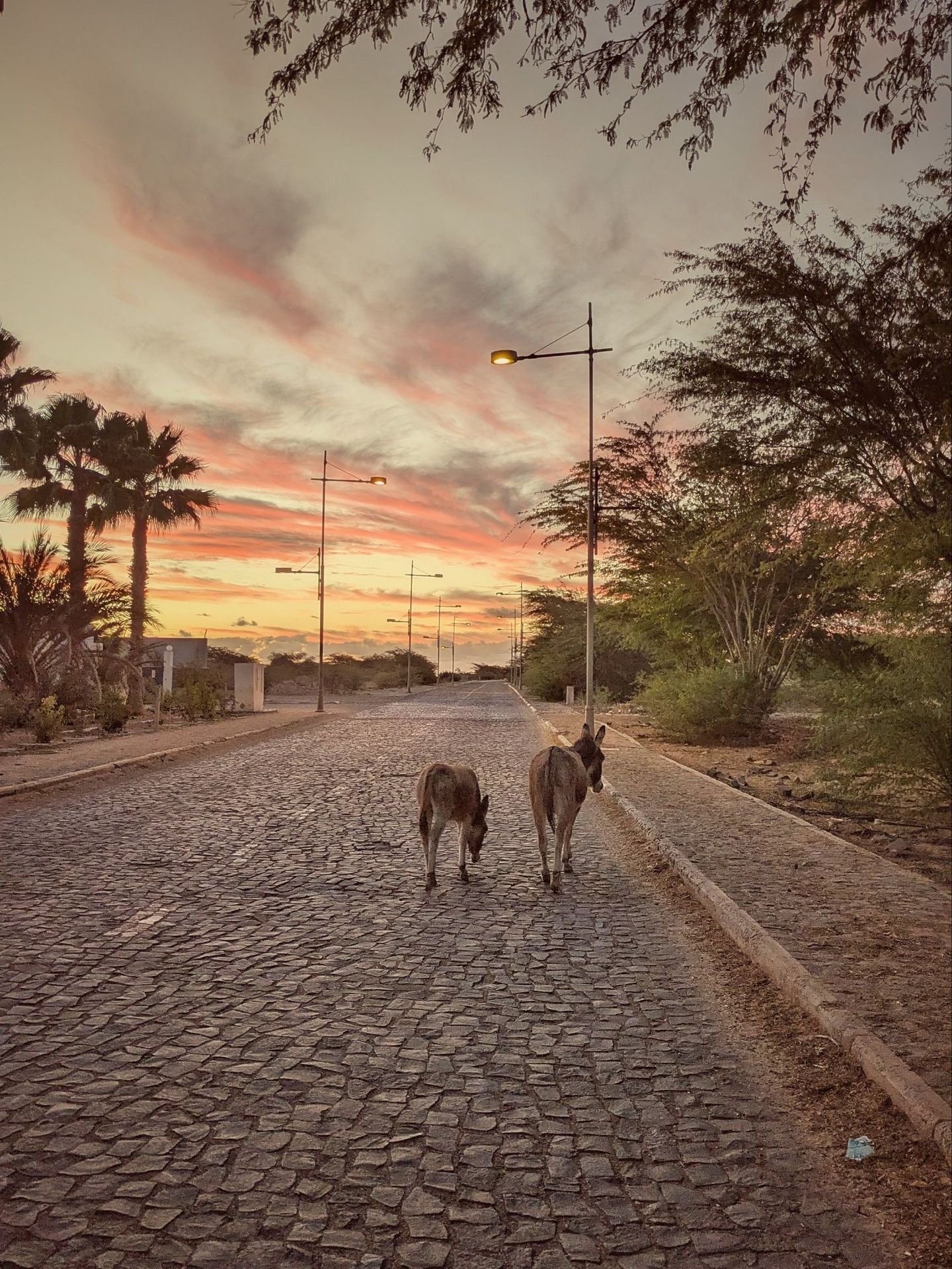 Esplorando Boavista