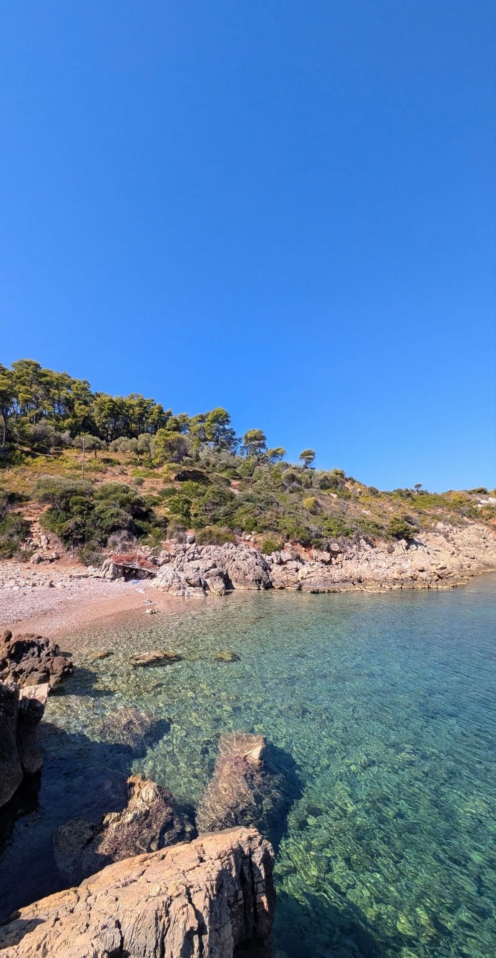La spiaggia nascosta tra i pini