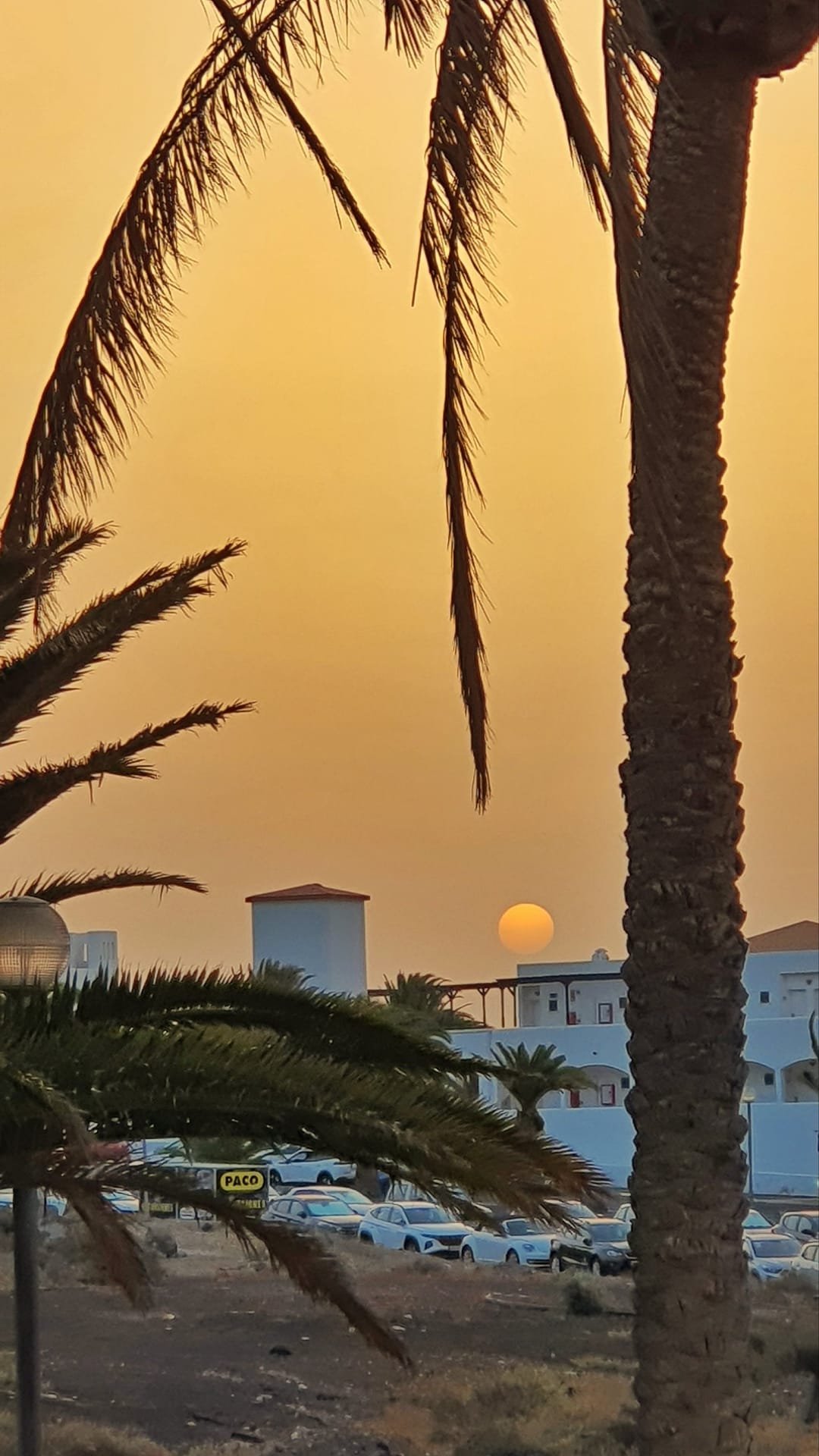 Un momento di relax dopo settimane intense