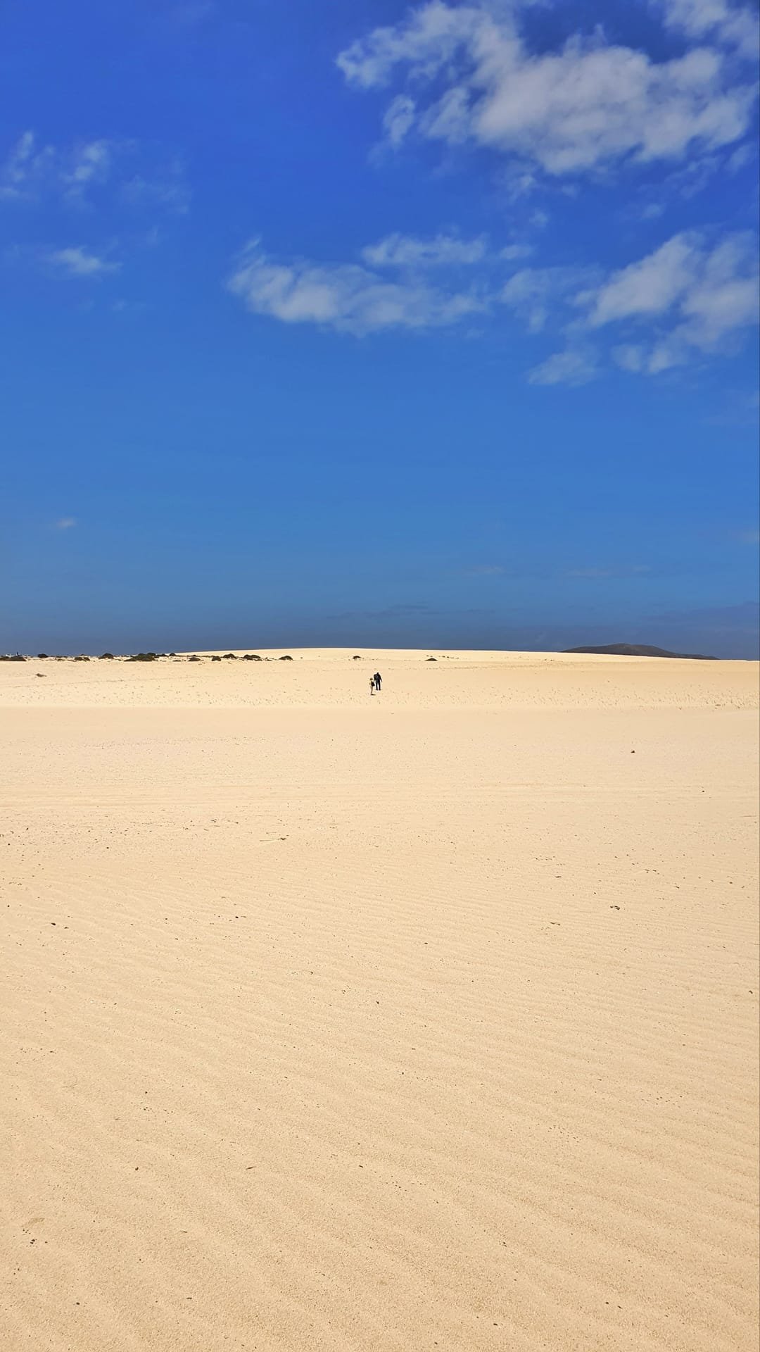 I fossili di alghe bianche sulla spiaggia Pop Corn