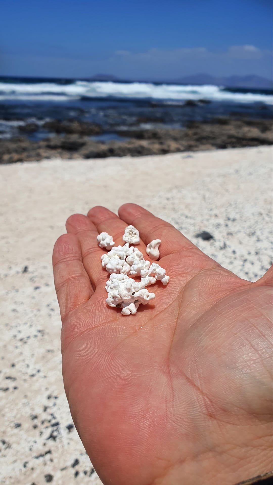 La costa selvaggia vicino a Corralejo