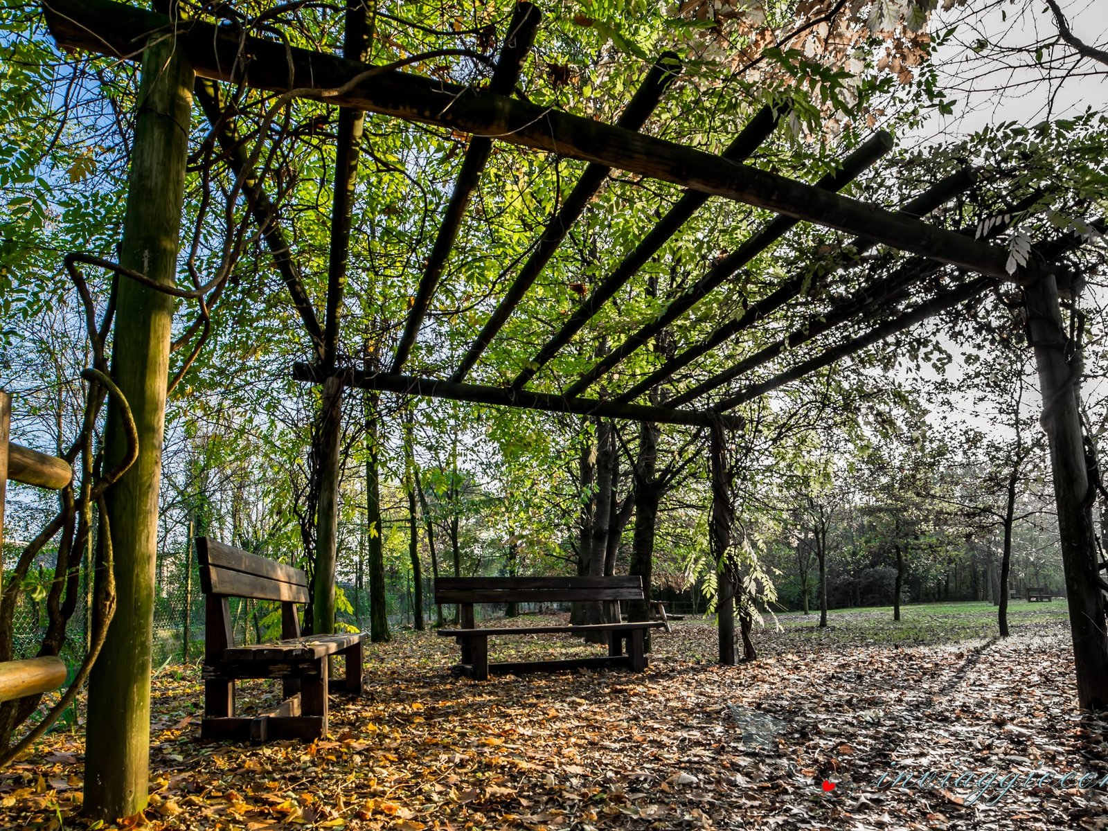 Panchine vuote sotto un pergolato, in un parco d’autunno