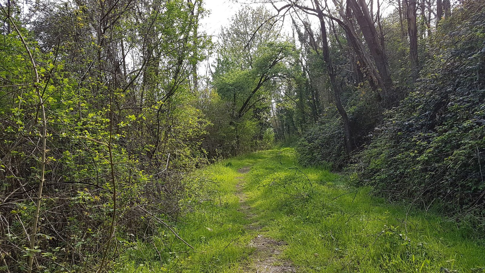 Sentiero lungo un fiume percorso in MTB