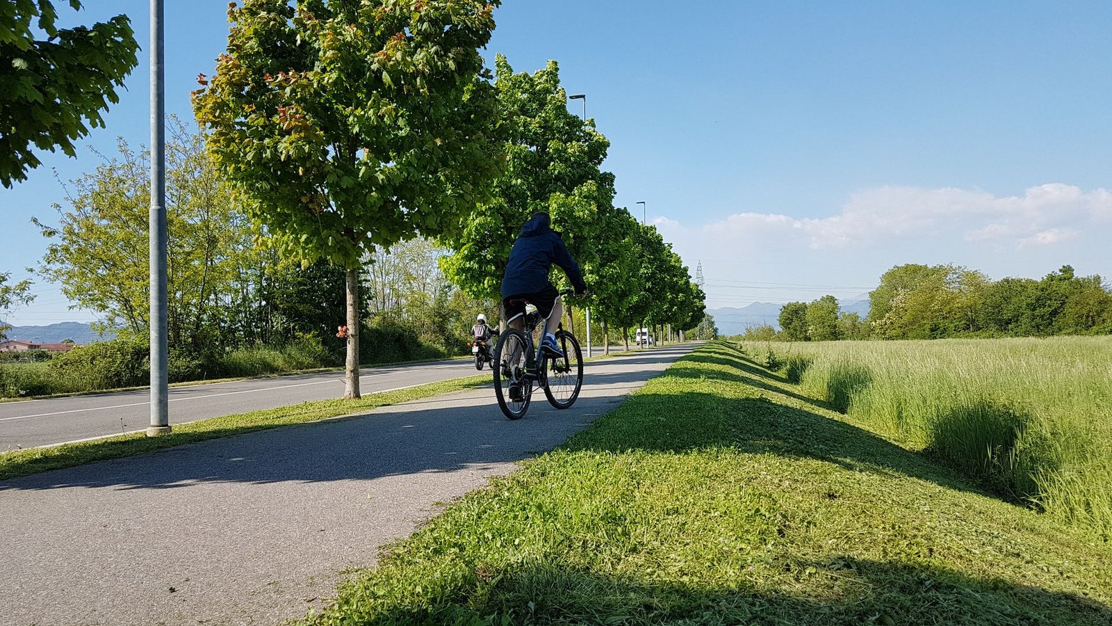 Un tratto di bosco attraversato in bicicletta