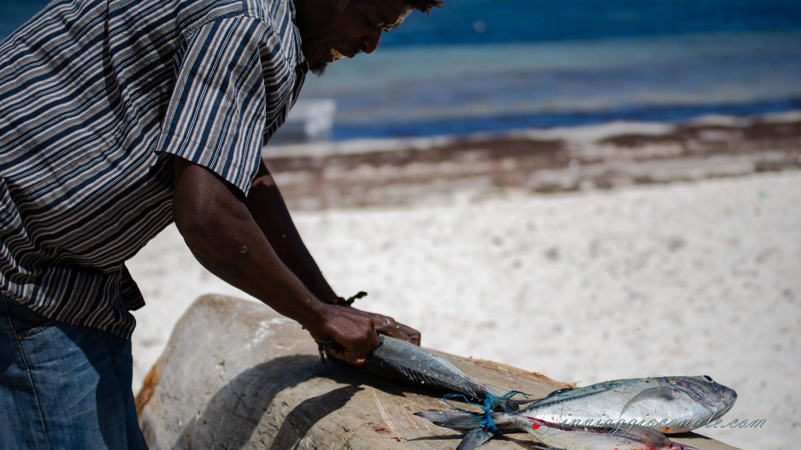 Mare turchese di Watamu
