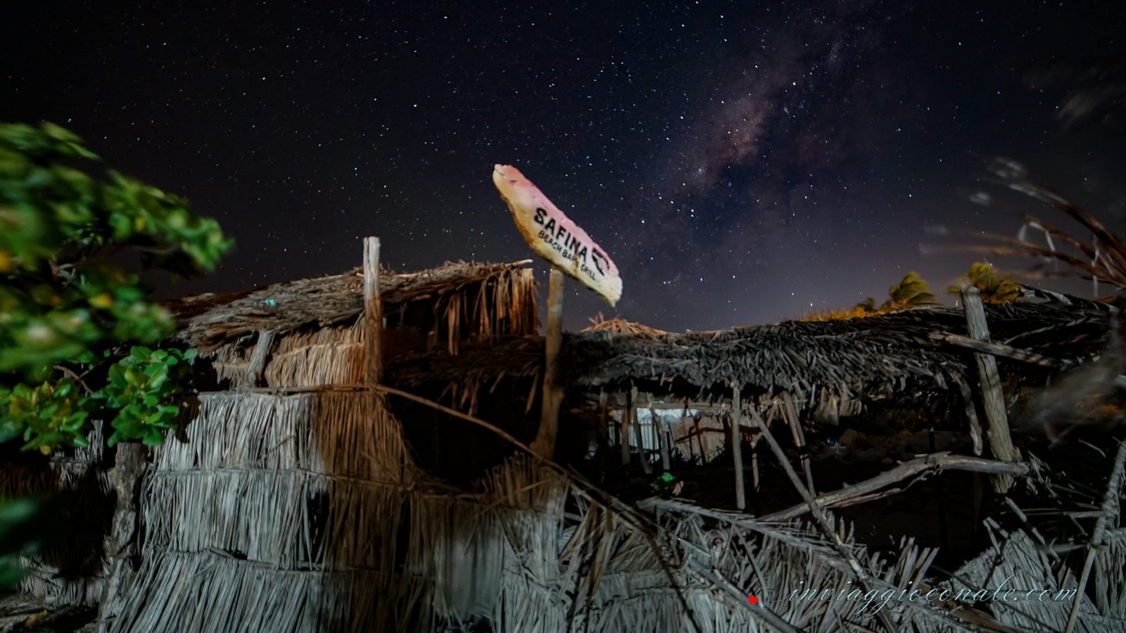Giraffe nel parco nazionale