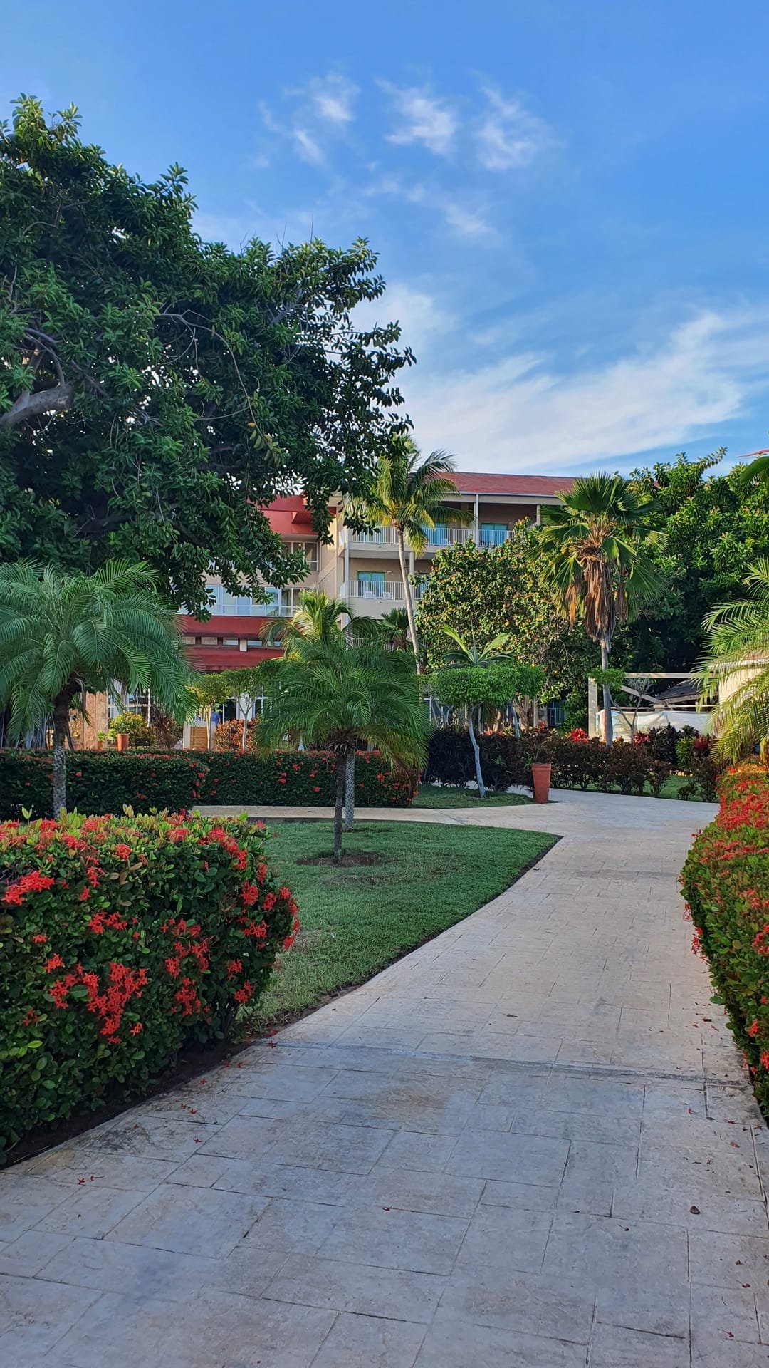 La spiaggia dell’Iberostar Tainos al mattino