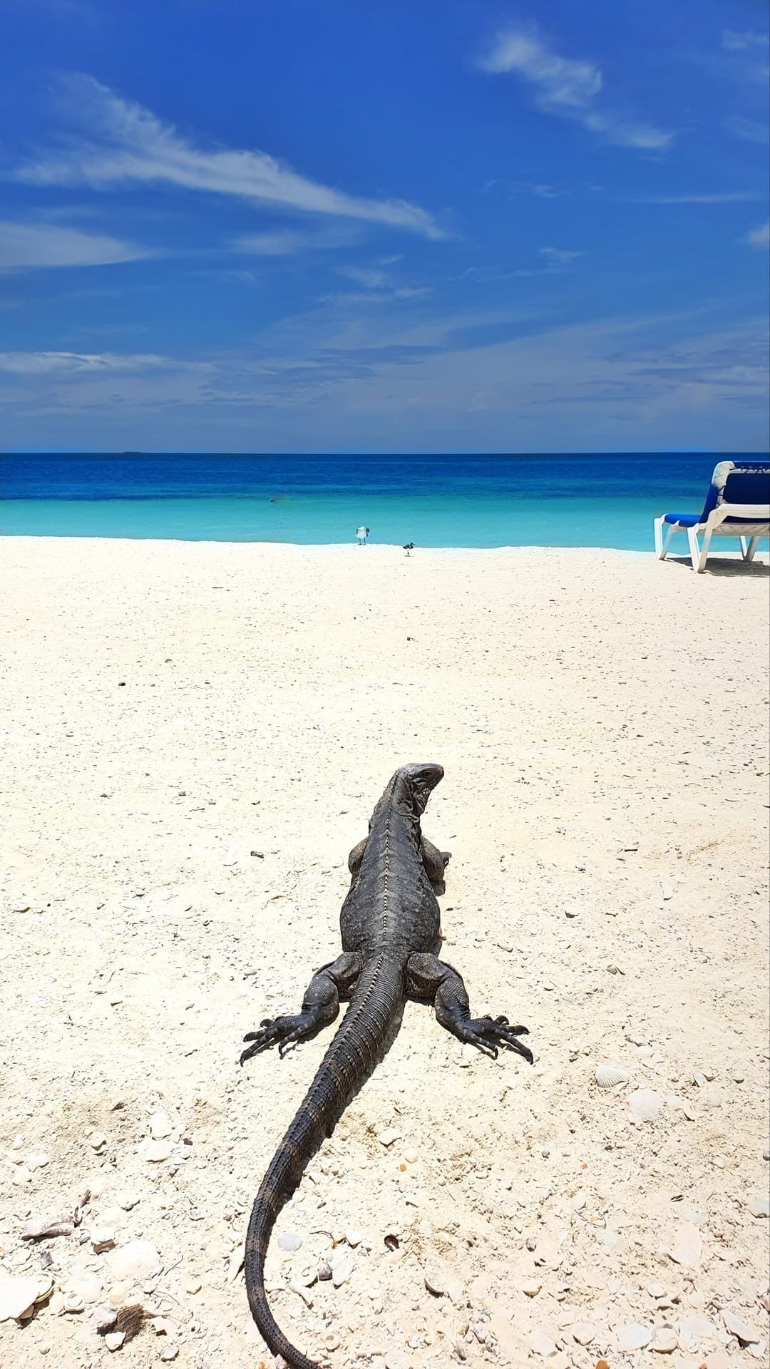 Panorama di Cayo Blanco dall'oceano