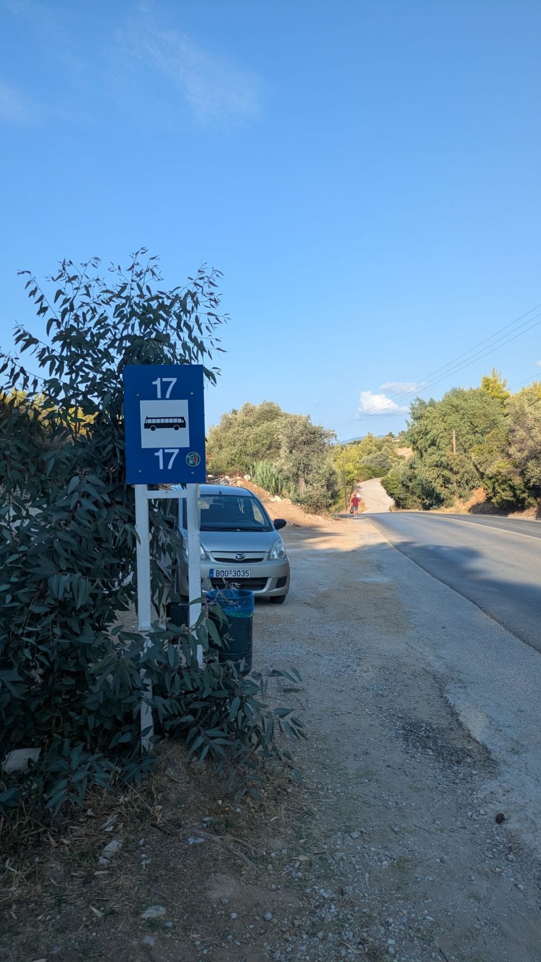 La spiaggia selvaggia di Aselinos