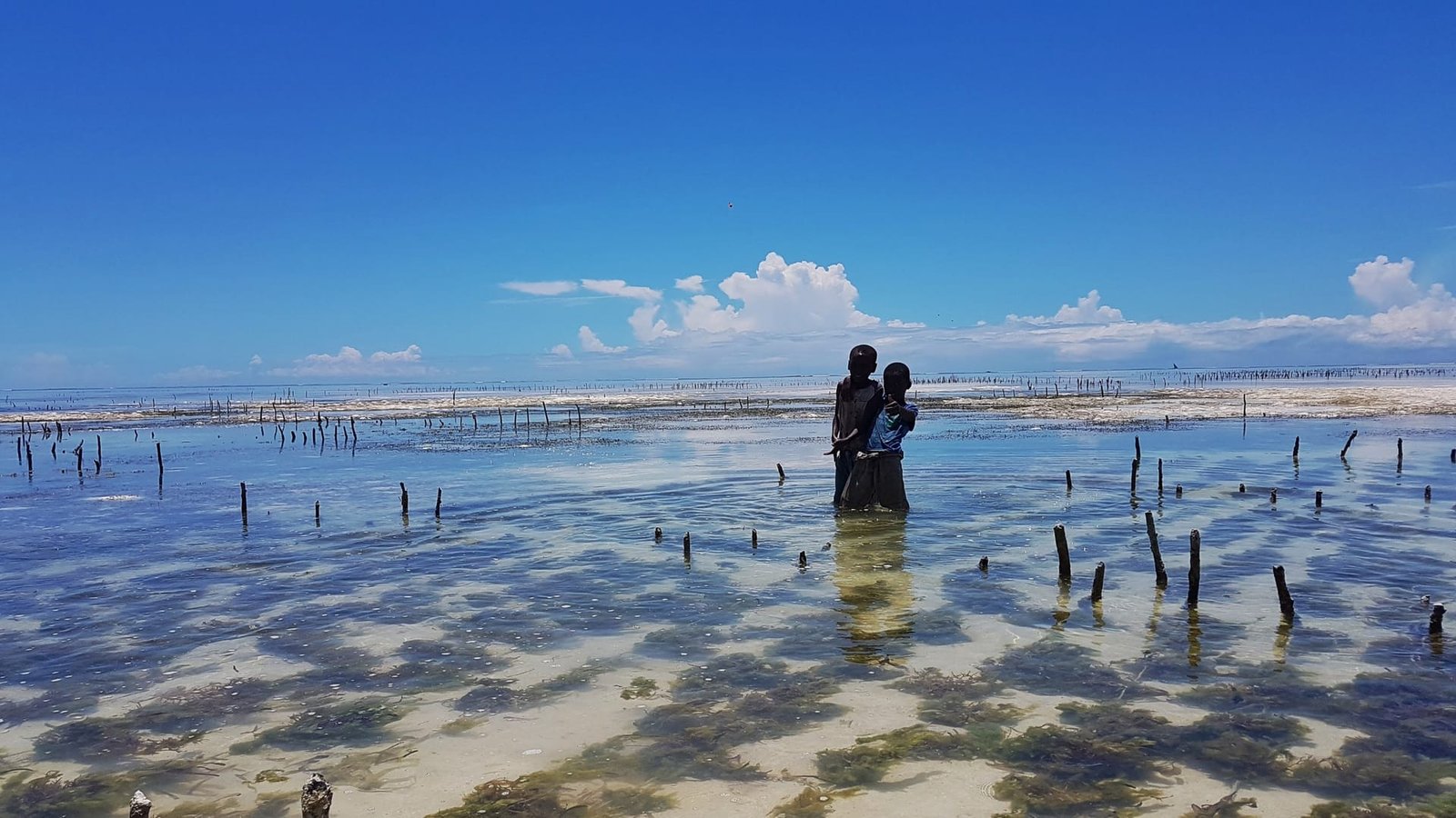 Lavorazione delle alghe cosmetiche a Zanzibar