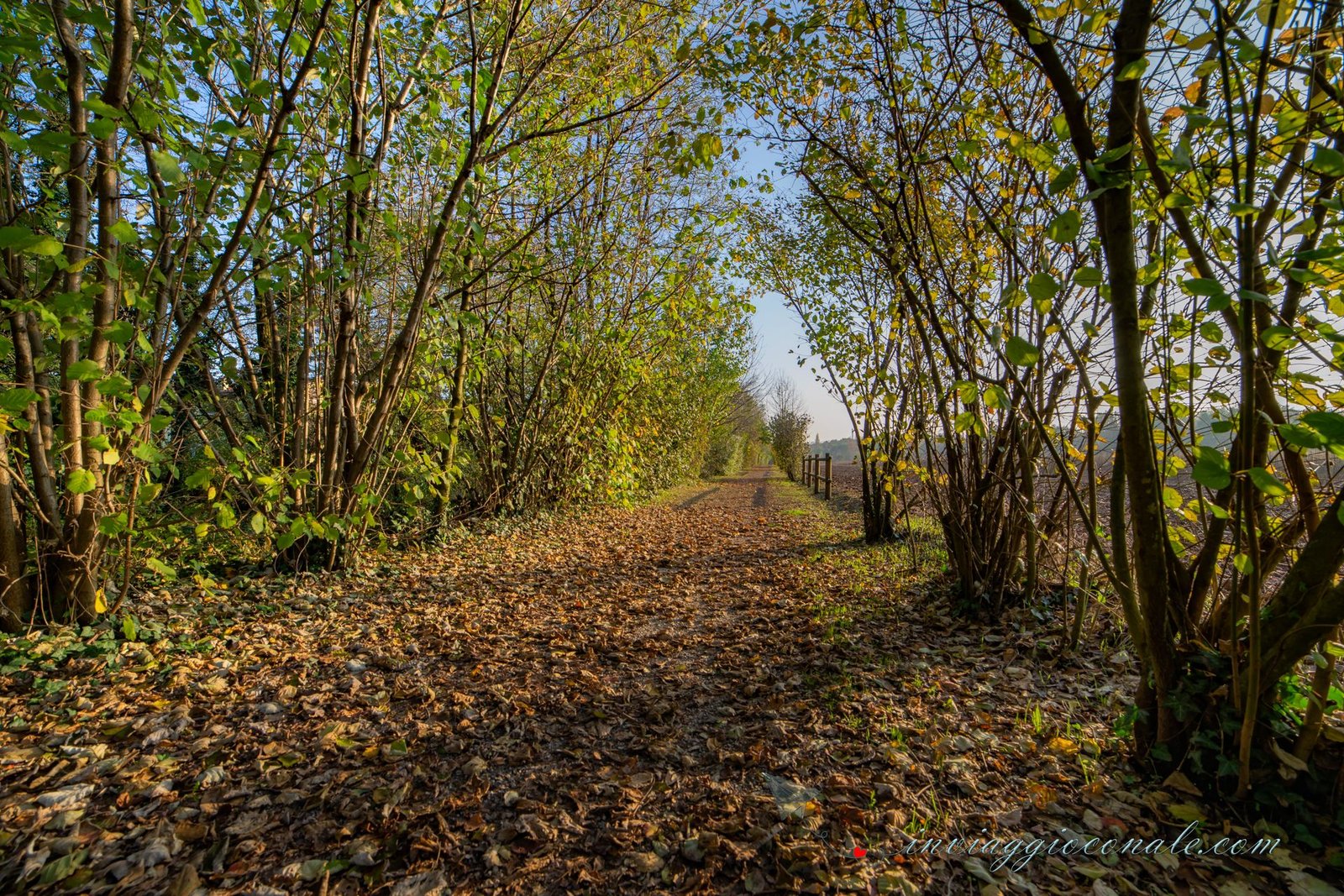 Paesaggio invernale attraversato in bicicletta