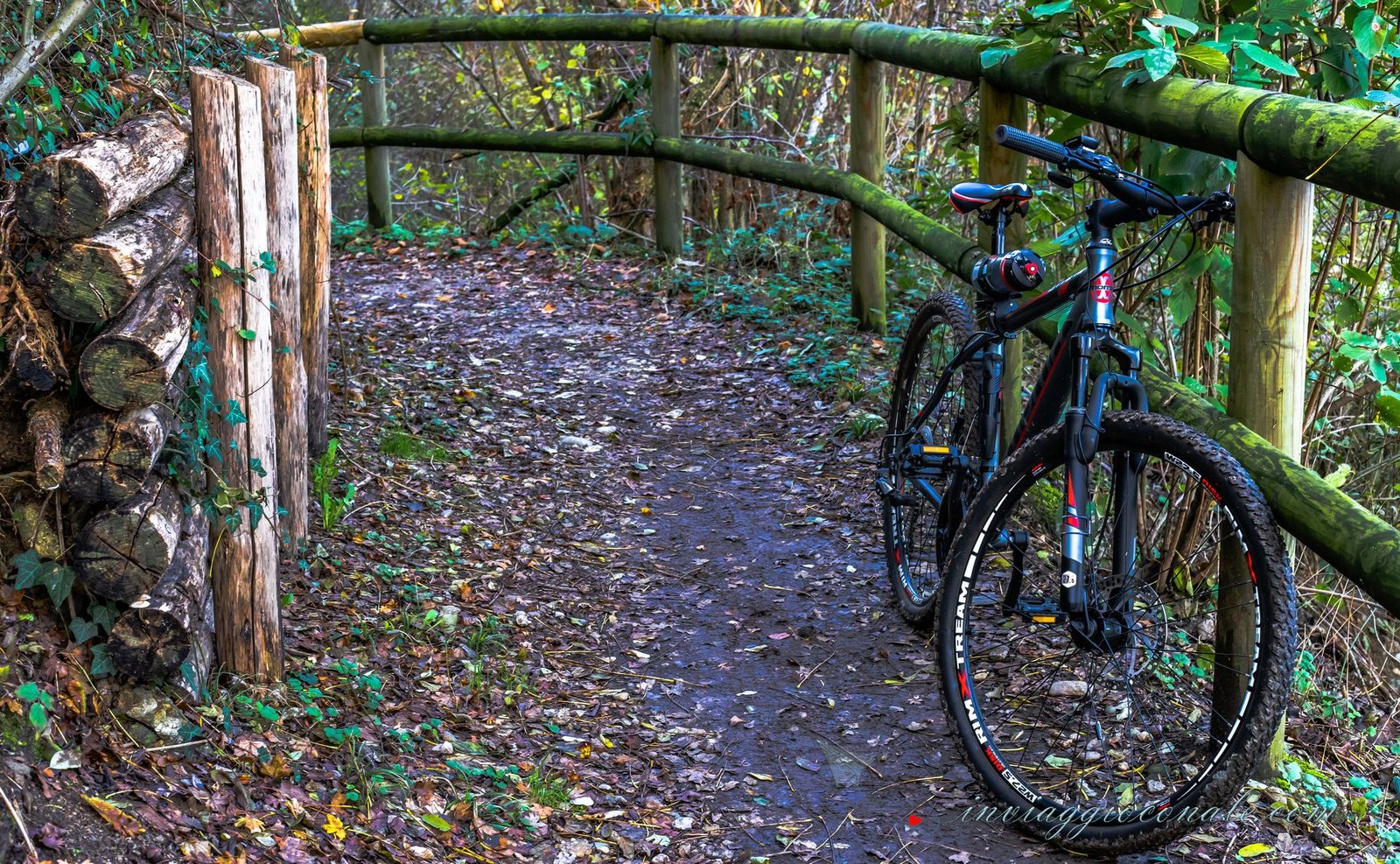 Scorcio di natura durante l’uscita in MTB