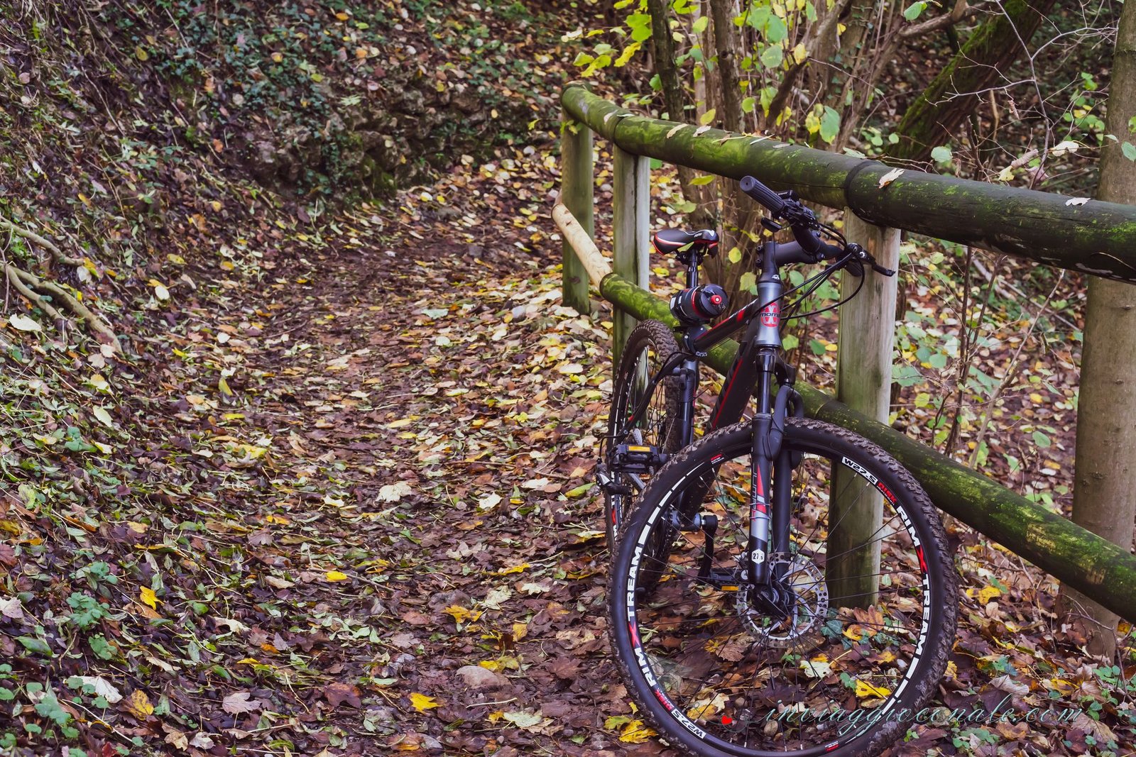 Sentiero solitario percorso in bicicletta