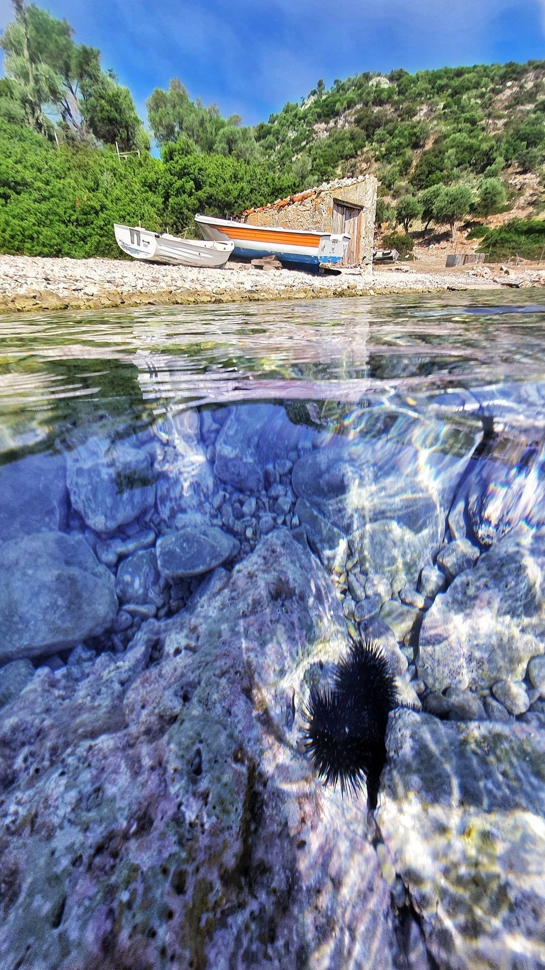 Le spiagge di Alonissos