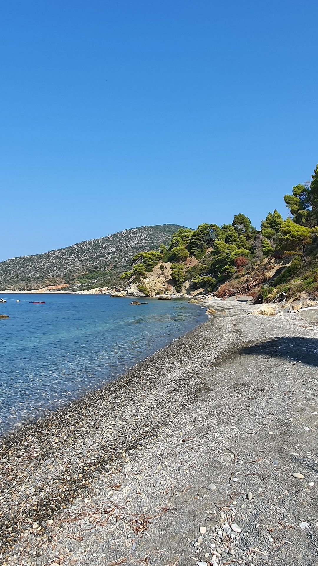 Le spiagge di Alonissos