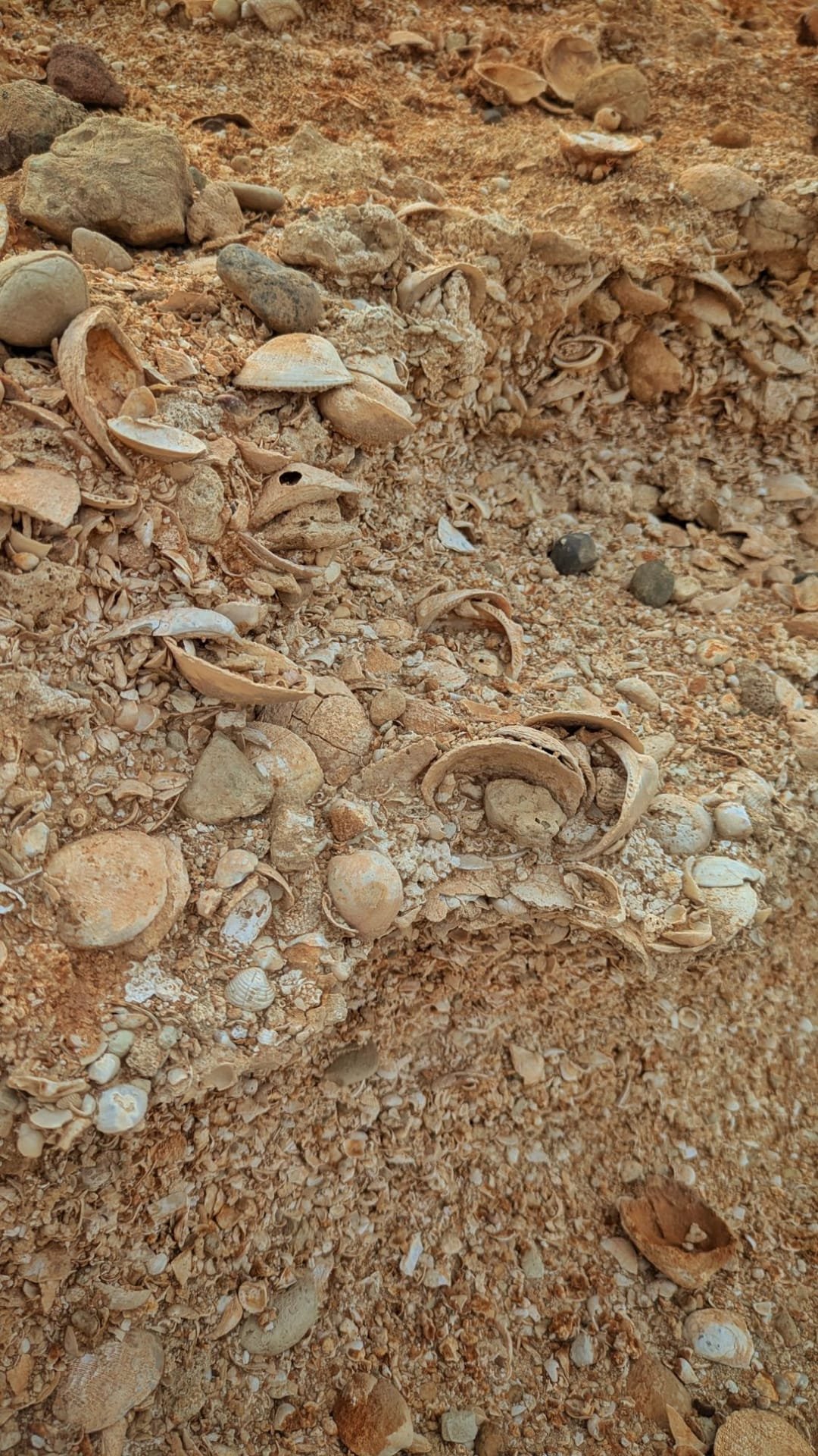 Il mare turchese di Michaliou Kipos