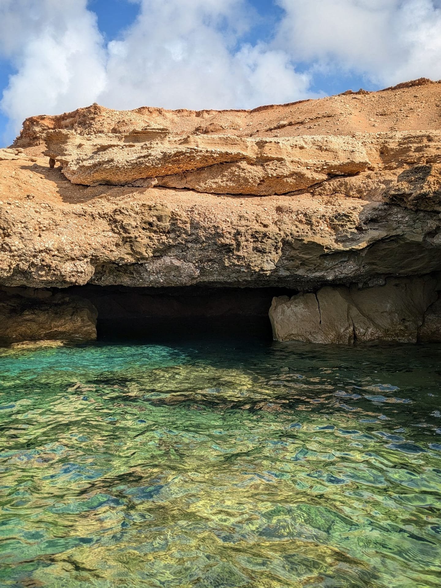 Le conchiglie incastonate tra le rocce