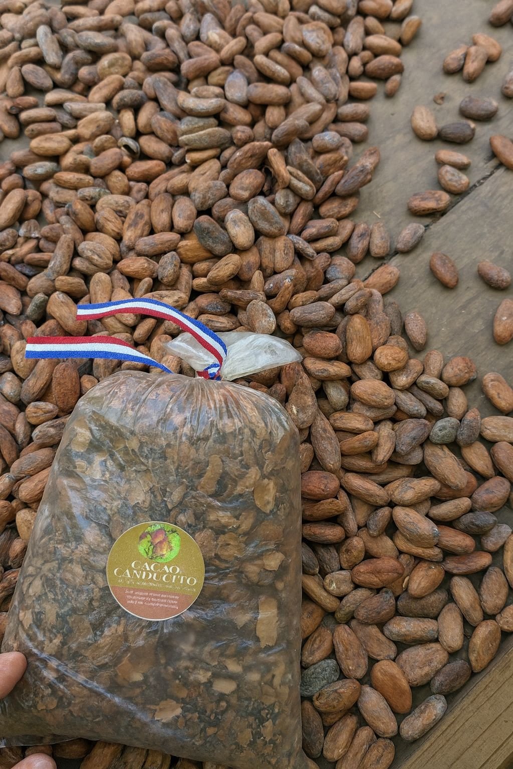 Settimana 5 – Miches e cacao: la mia settimana tra natura, cultura e mare caraibico