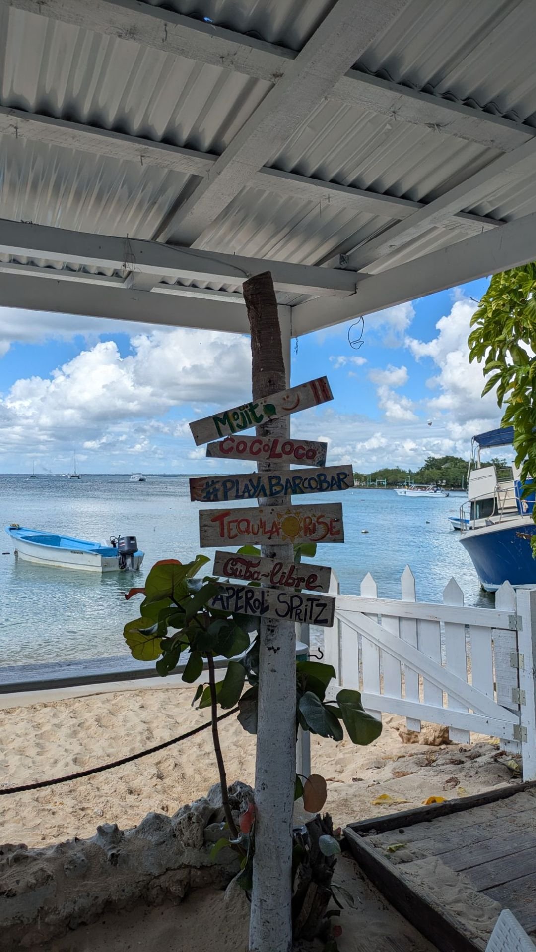 Coral point a Bayahibe
