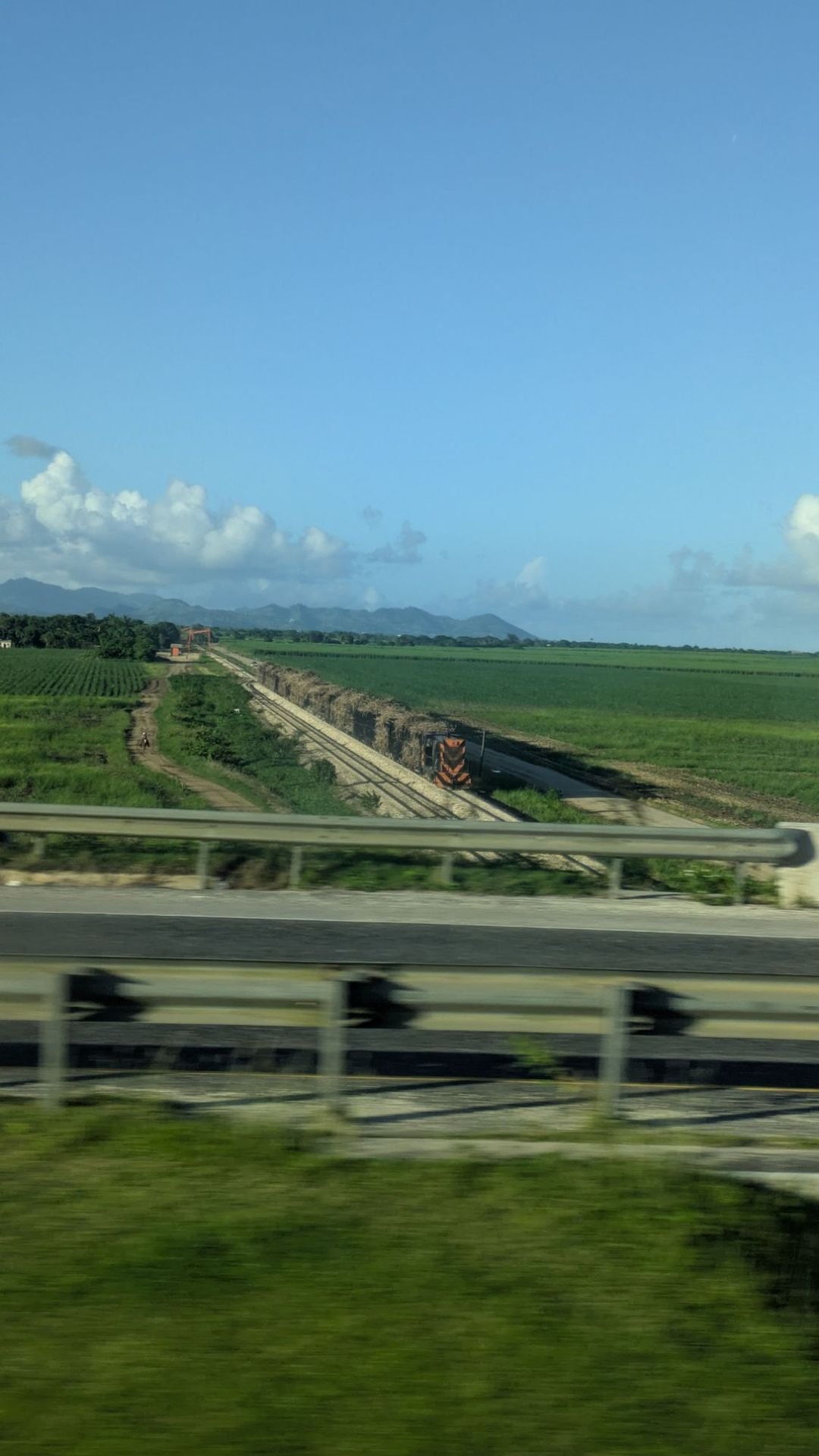 Treno che trasporta canna da zucchero