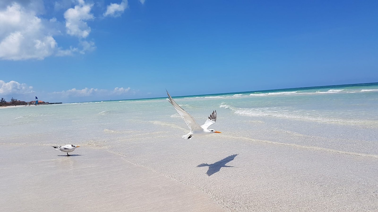 Acqua cristallina di Varadero