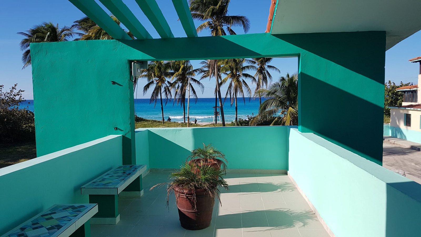 Palme lungo la spiaggia di Varadero