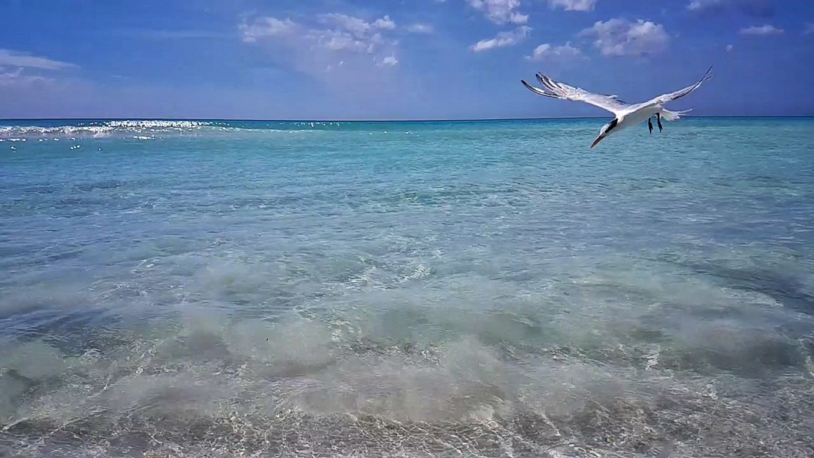 Veduta della penisola di Varadero