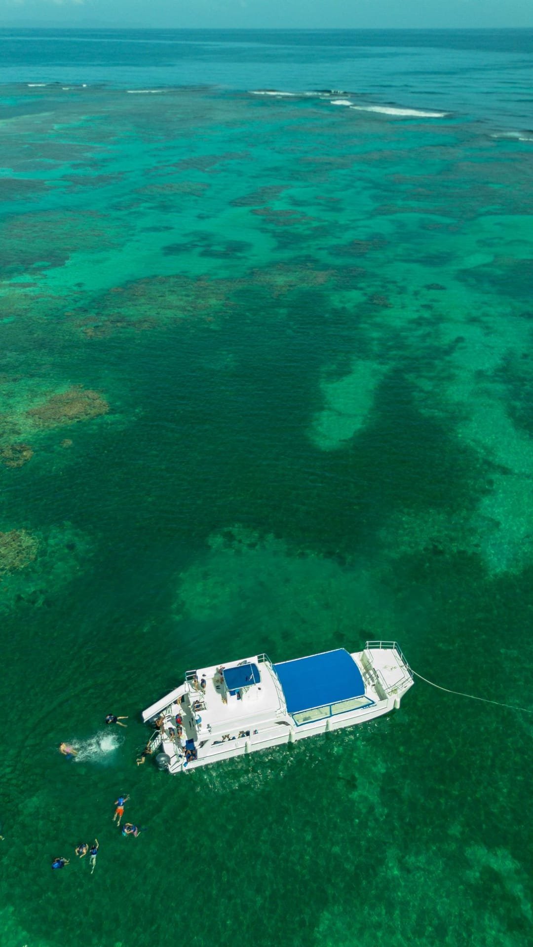 La musica e il ballo sulla Partyboat