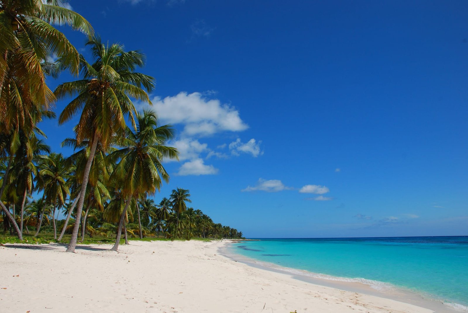 Mare turchese di Saona