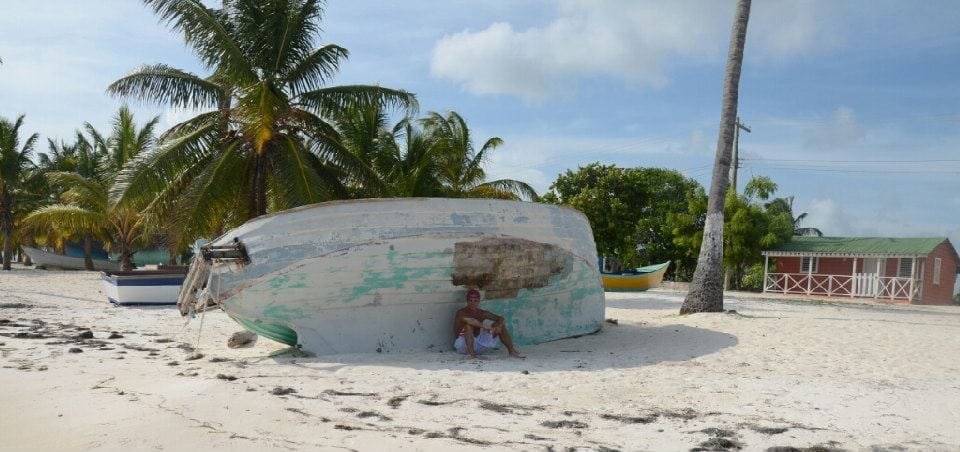 Mangrovie sulla costa di Saona