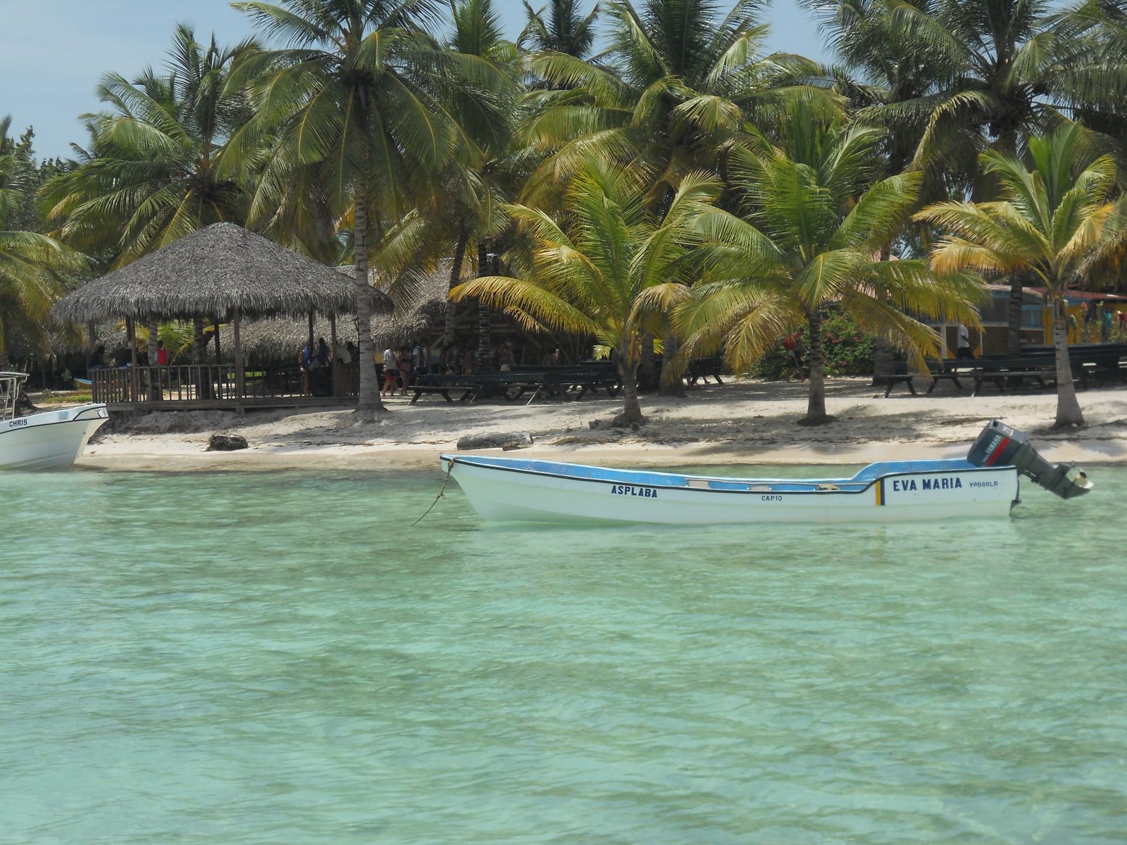 Barriera corallina vicino all'isola di Saona