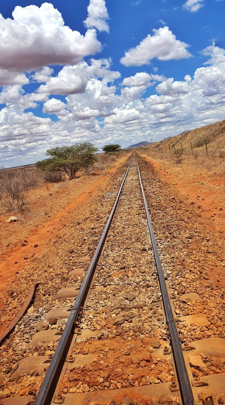 Binari che corrono dritti nella savana di terra rossa sotto un cielo pieno di nuvole