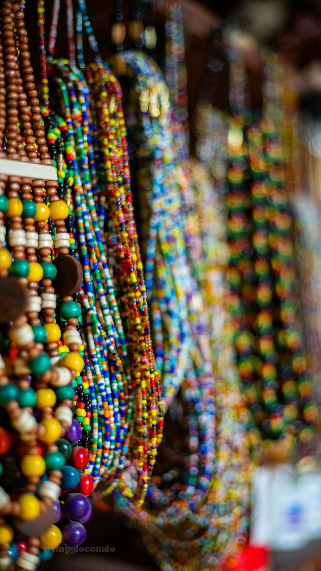 Sal: tutte le foto