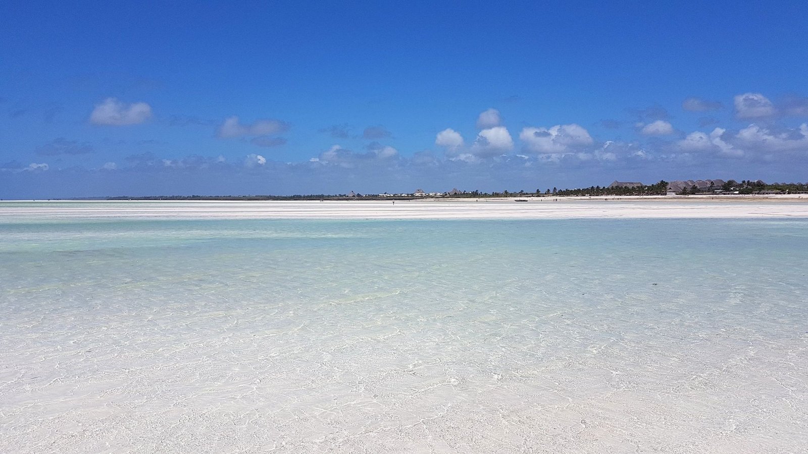 La spiaggia di Mayungu in Kenya a bassa marea