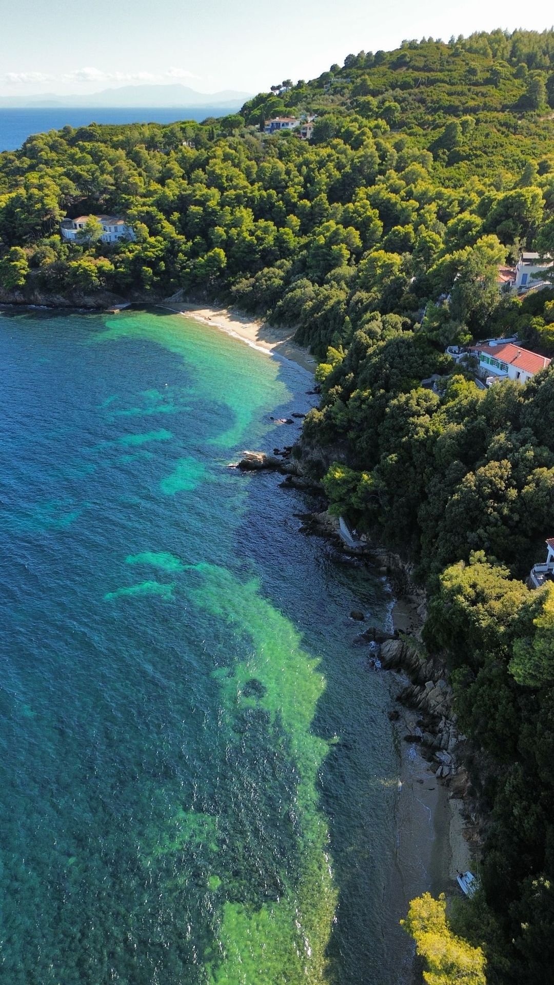Scopri le spiagge incredibili di Skiathos
