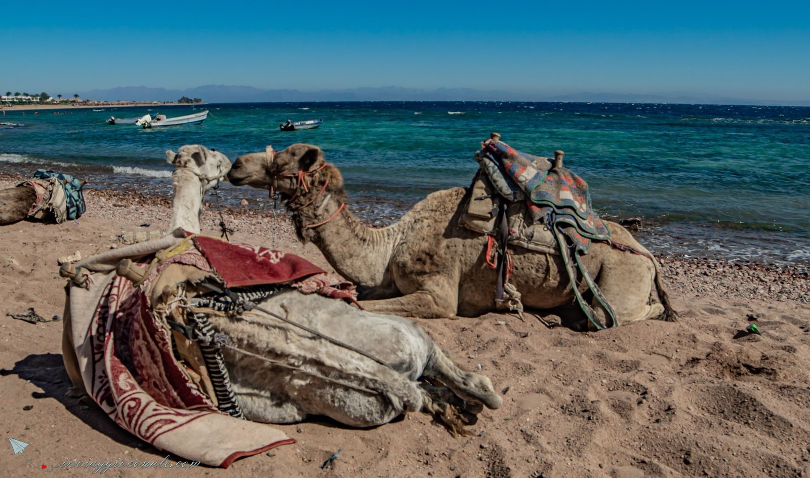 Sharm el-Sheikh 2019