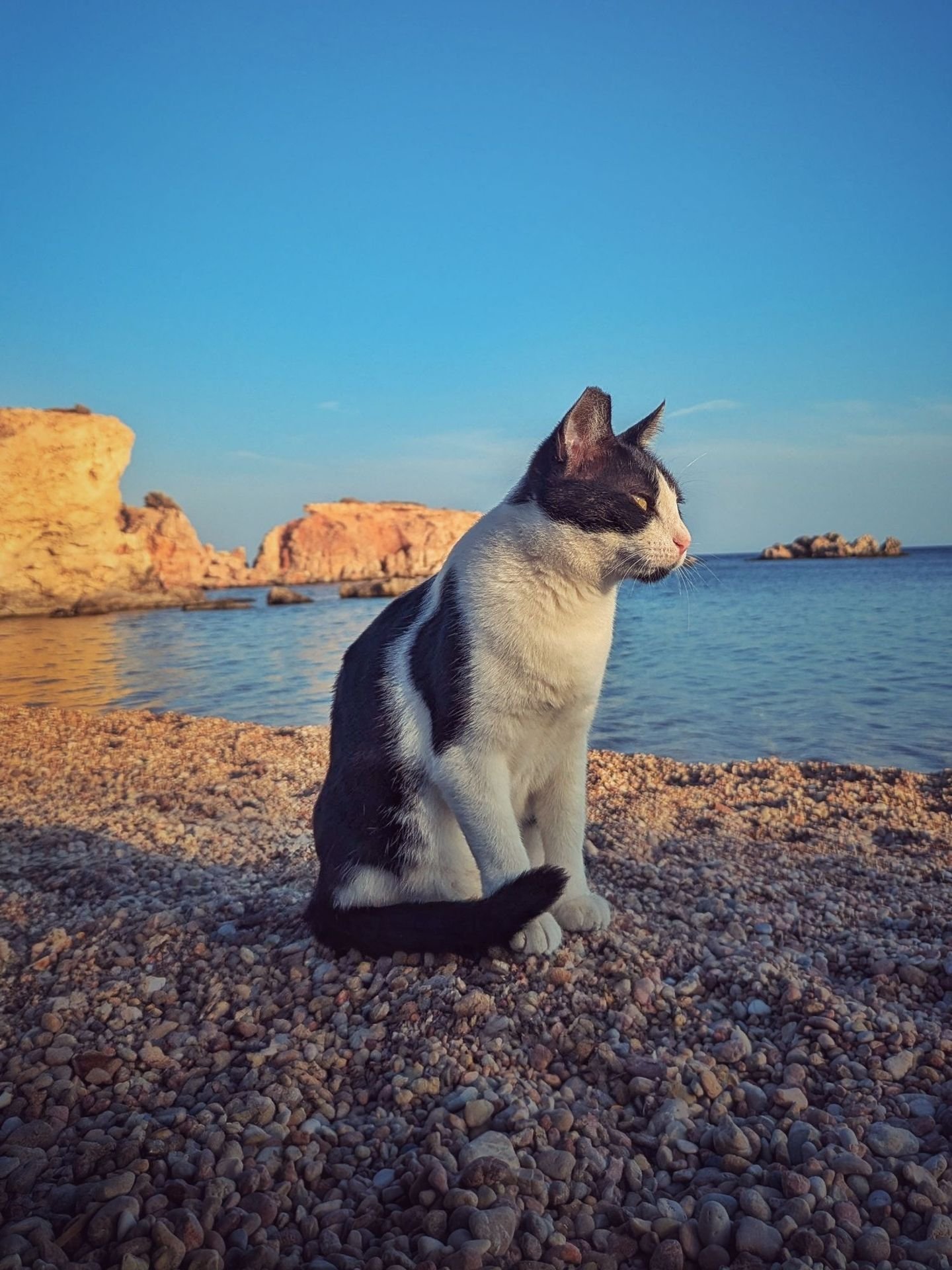 Spiaggia di Amoopi