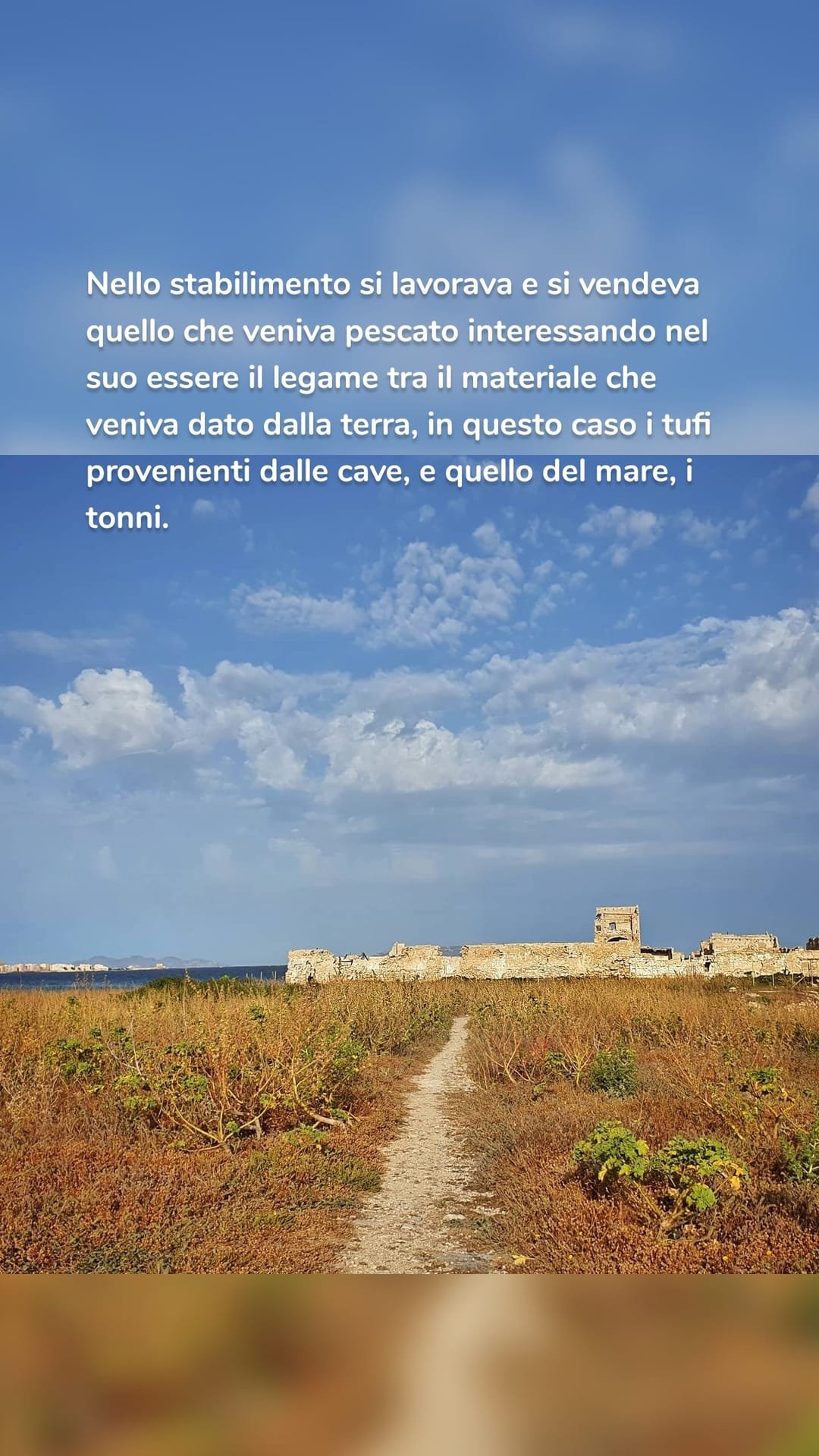 Tufi e strutture in pietra della tonnara