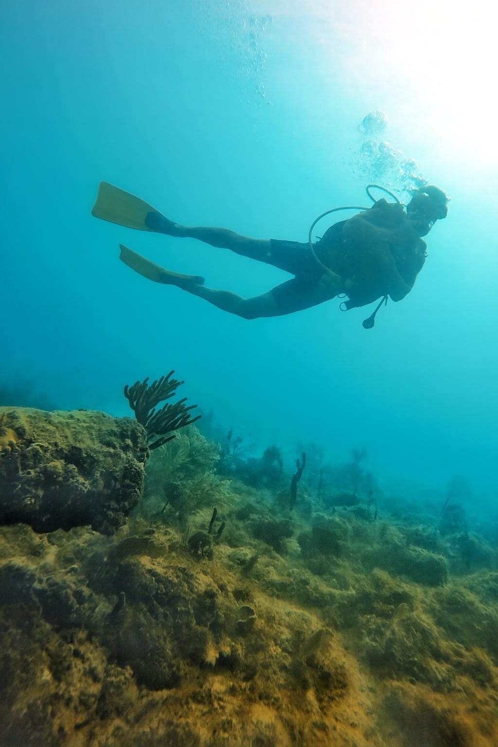 Il mare cristallino di Bayahíbe
